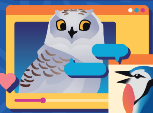 Snowy Owl (Bubo scandiacus) on the front of the game box